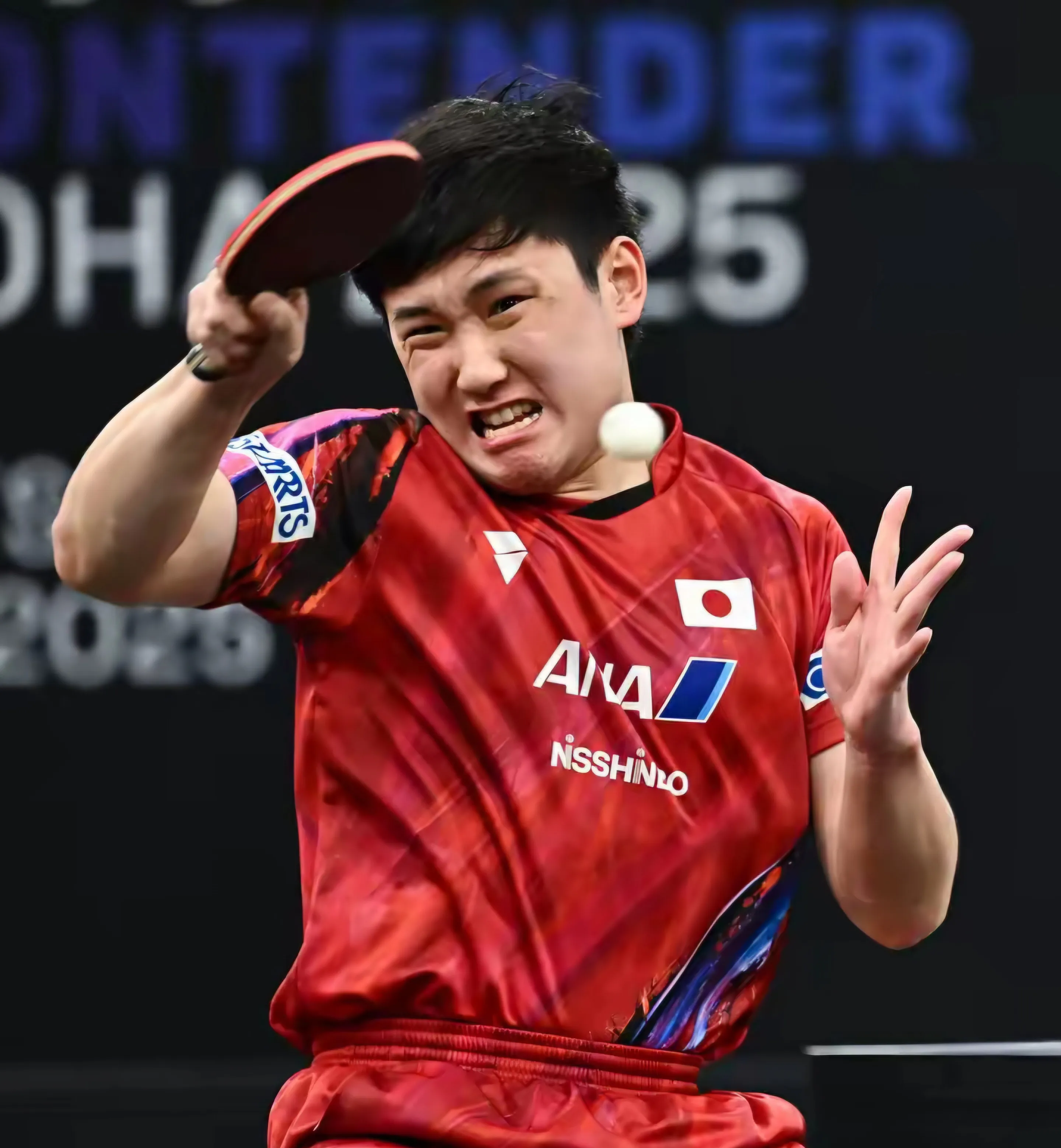 关于奥地利乒乓球队强势法国乒乓球队，张本智和关键制胜的信息