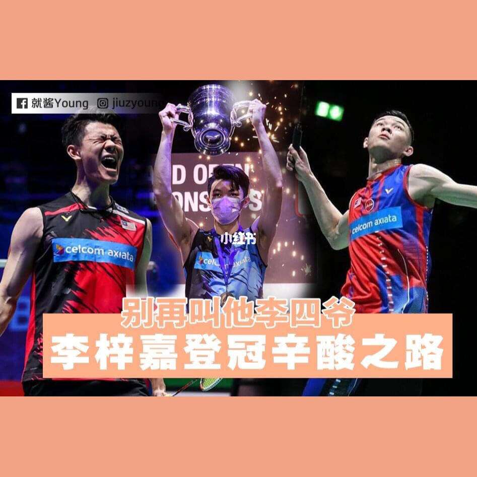 德国队力克丹麦队，李梓嘉带队取胜