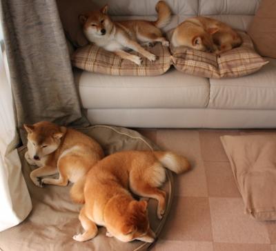 战术制胜,挪威精密布局压制爱尔兰,罗德里戈一剑封喉