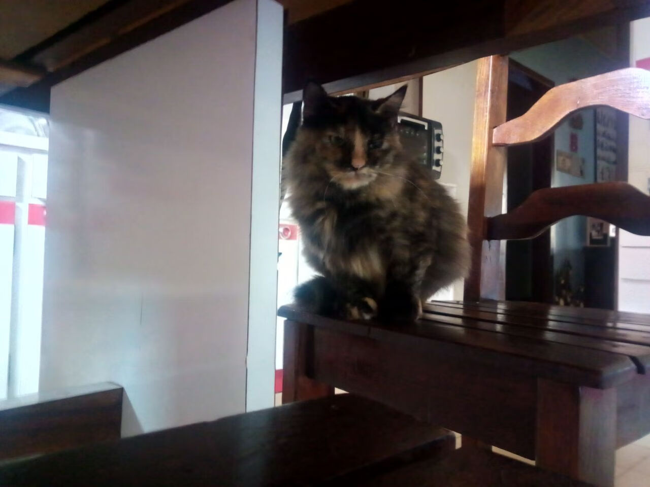 德罗赞两万分之夜,快船险胜深圳揭示篮球本质