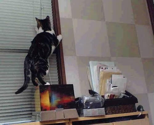 抢七之夜,浓眉铁闸锁死对手,湖人逆境突围