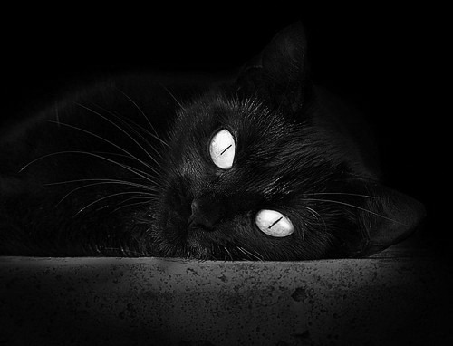 塔图姆关键时刻连斩分助球队逆袭，尼克斯早早击溃森林狼悬念全无