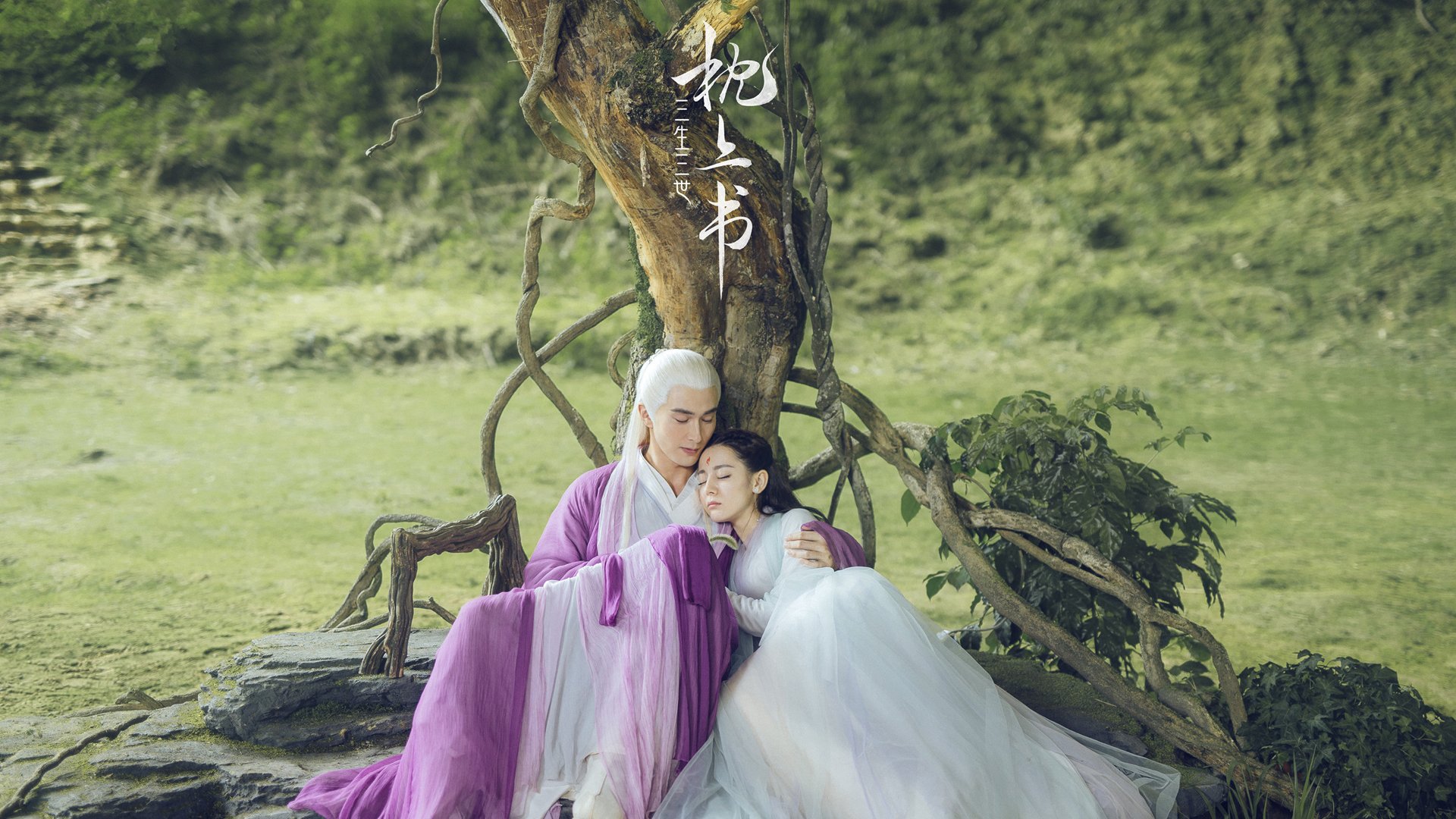 文班亚马进攻端肆虐无解,太阳队强势击溃骑士彰显实力