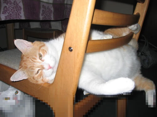 杜兰特孤星燃苍穹，国王铁蹄踏破北境寒