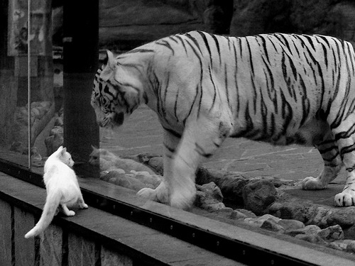 马克西关键制胜,开拓者单节拉开76人,一场逆转之战的激情演绎