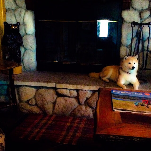 迪亚斯连击拉开分差,塞内加尔惊险取胜亚特兰大