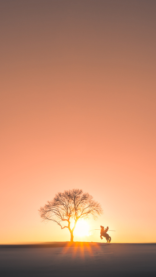 篮球世界的两极，武切维奇爆发与灰熊提前终结悬念，新疆队离总冠军还有多远？