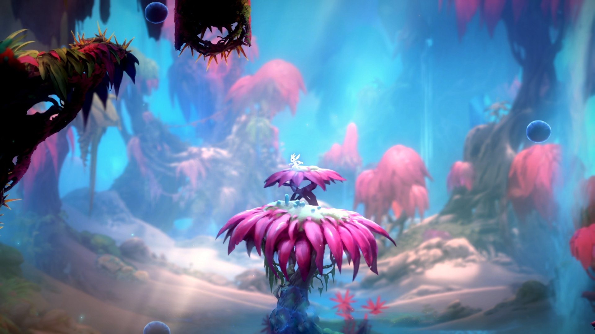 关键先生！德里赫特一锤定音，美国新势力速胜那不勒斯