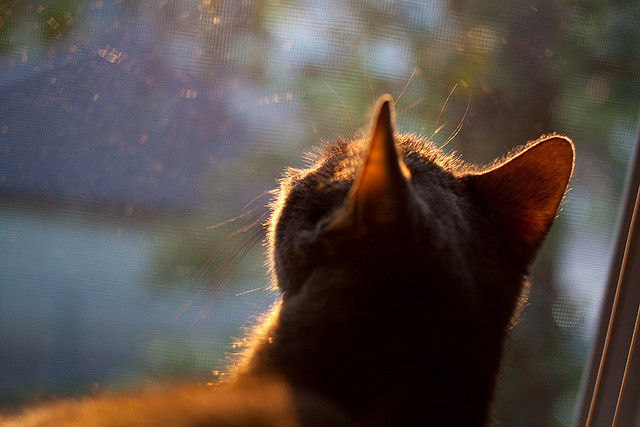 利拉德封神夜!45分超神表演终结争议,热火新王当立无悬念