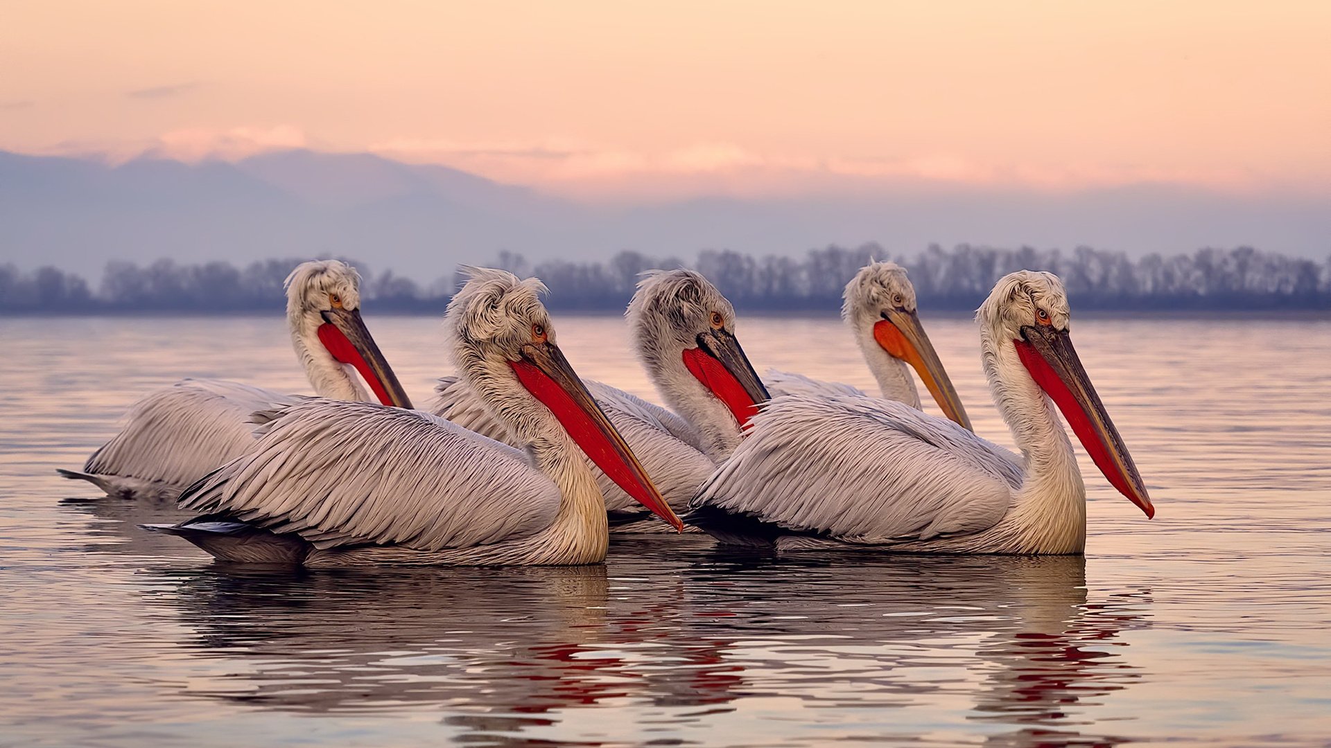 足球奇迹！中国球队征服圣西罗，奥斯梅恩彻底撕碎国米防线