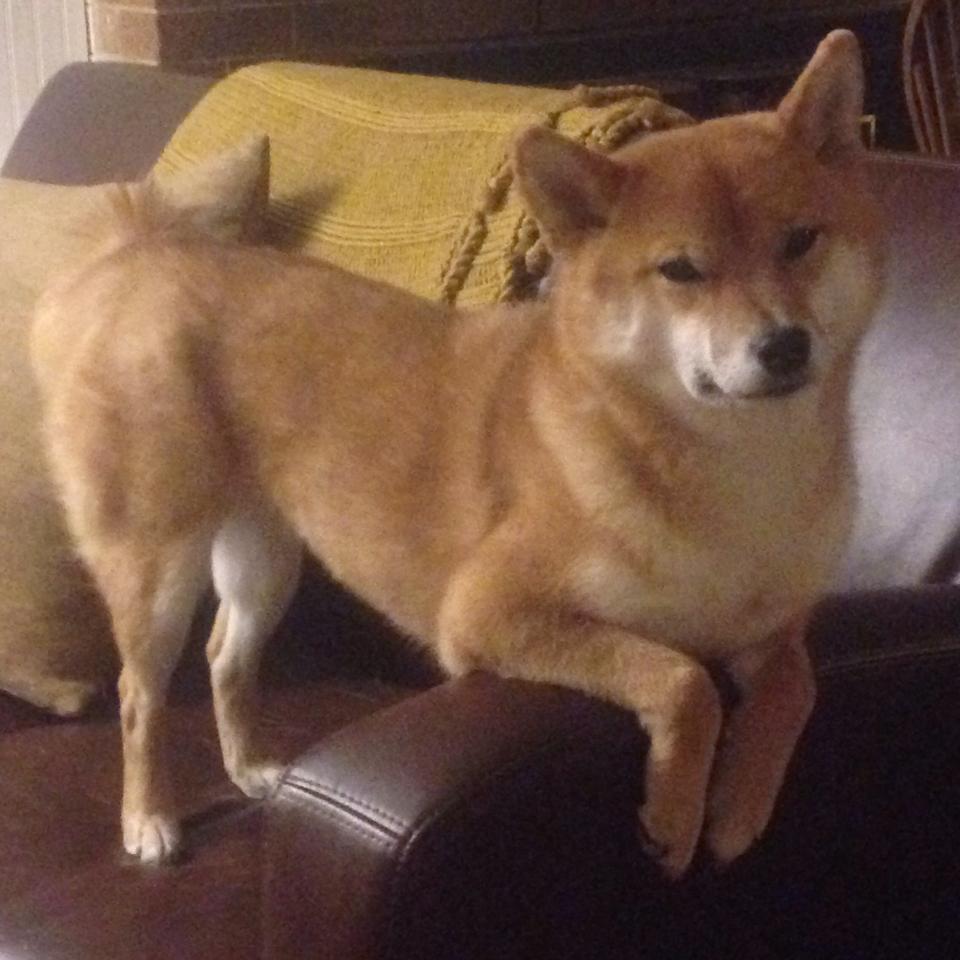 奇才过关，布局关键，一个人打碎山西，MVP无争议的孤胆表演