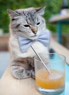 沉默423天后，他在国家德比之夜将星辰穿在身上